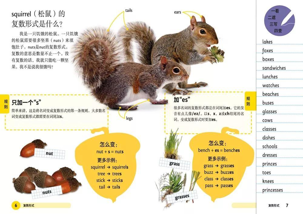 十八四六送特码，猪虎蛇羊有搞头打猜一最佳准确生肖，全面释义、定量解答解释落实