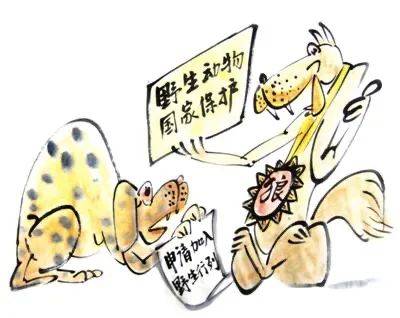 山有木工，八月秋高，天生我才必有用打一正准生肖警惕虚假宣传、全面解答与解释、全面解答解释落实