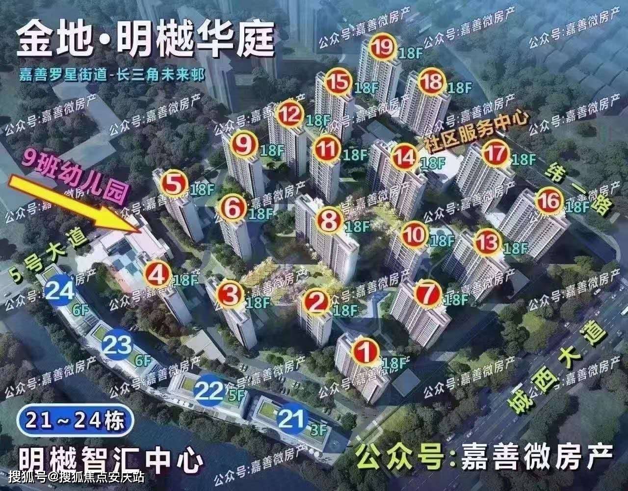 欲钱看马槽边上的苍蝇代表什么生肖，详细解答、综合解答解释落实