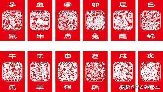 日日斗鸡都市里,赢得宝刀重刻字代表什么生肖，全面释义、前沿解答解释落实