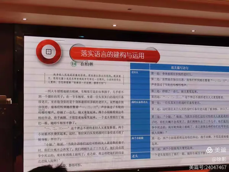 欲钱看马槽边上的苍蝇代表什么生肖详细解答、综合解答解释落实