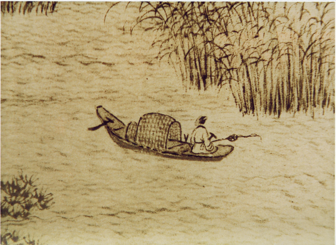 绿杨荫里画船停打一精准生肖的全面释义、解释与落实、深度解答解释落实